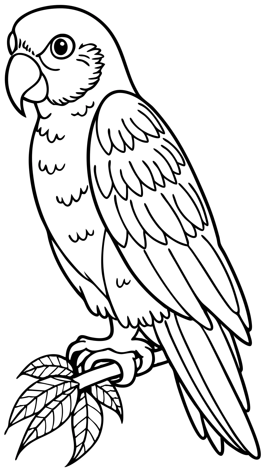 parakeet coloring pages